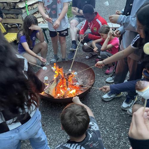 Marshmallows