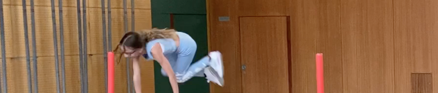 © MS Reichenau Sportmotorischer Eingangstest Header