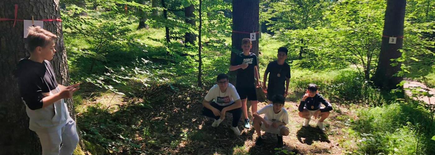 Roll-on im Wald